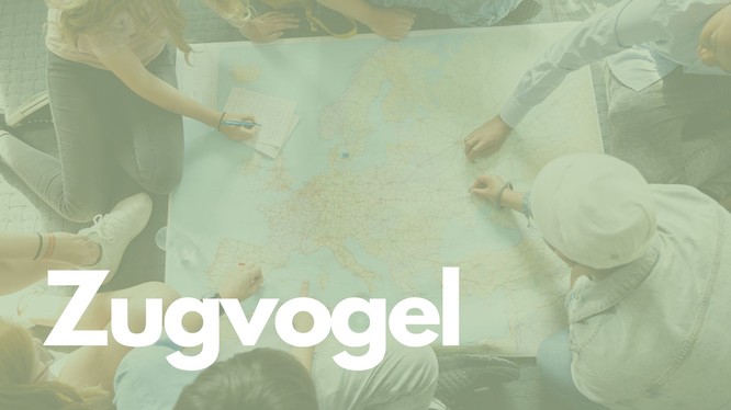 Titelbild mit Schülern, die sich über eine Weltkarte beugen, über dem Bild liegt ein grünes Overlay mit dem Text: Zugvogel.
