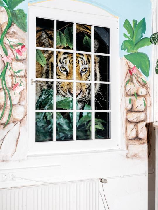 Foto einer Trompe L'Oeuil-Wandbemaung